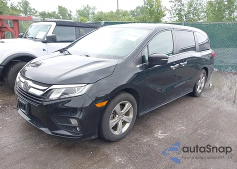 2019 Honda Odyssey Ex-L z USA, uszkodzony, nr VIN 5FNRL6H71KB080982